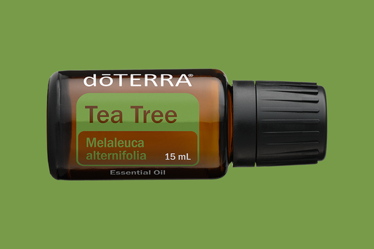 Miért "kötelező" eleme az otthoni raktárnak a Doterra Teafa olaja?
