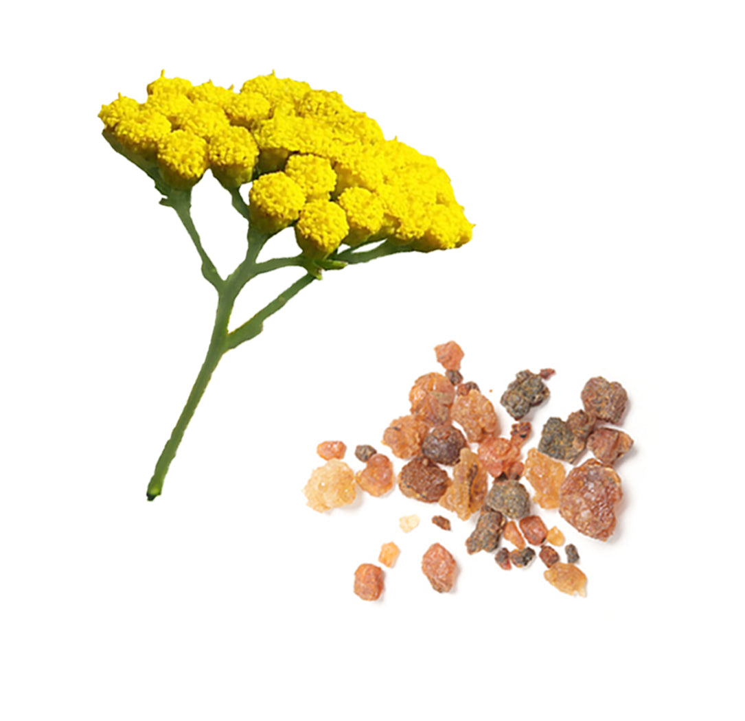 Doterra balance touch alkotóelemei