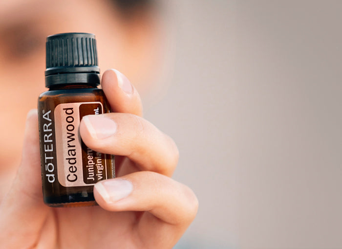 Doterra Vörös cédrus (Cedarwood) illóolaj 15 ml